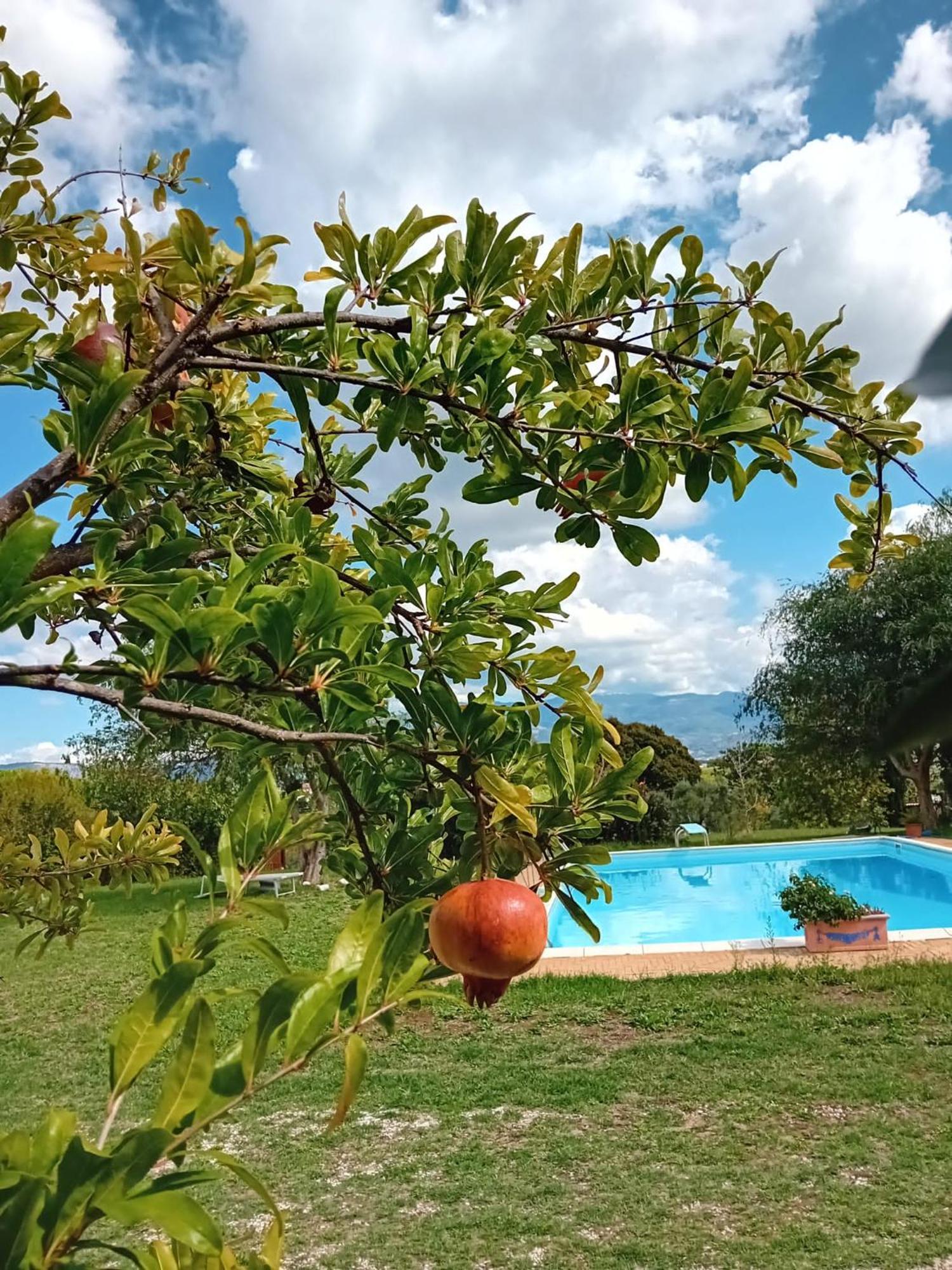 벨레트리 Casa Pratolungo 게스트하우스 외부 사진